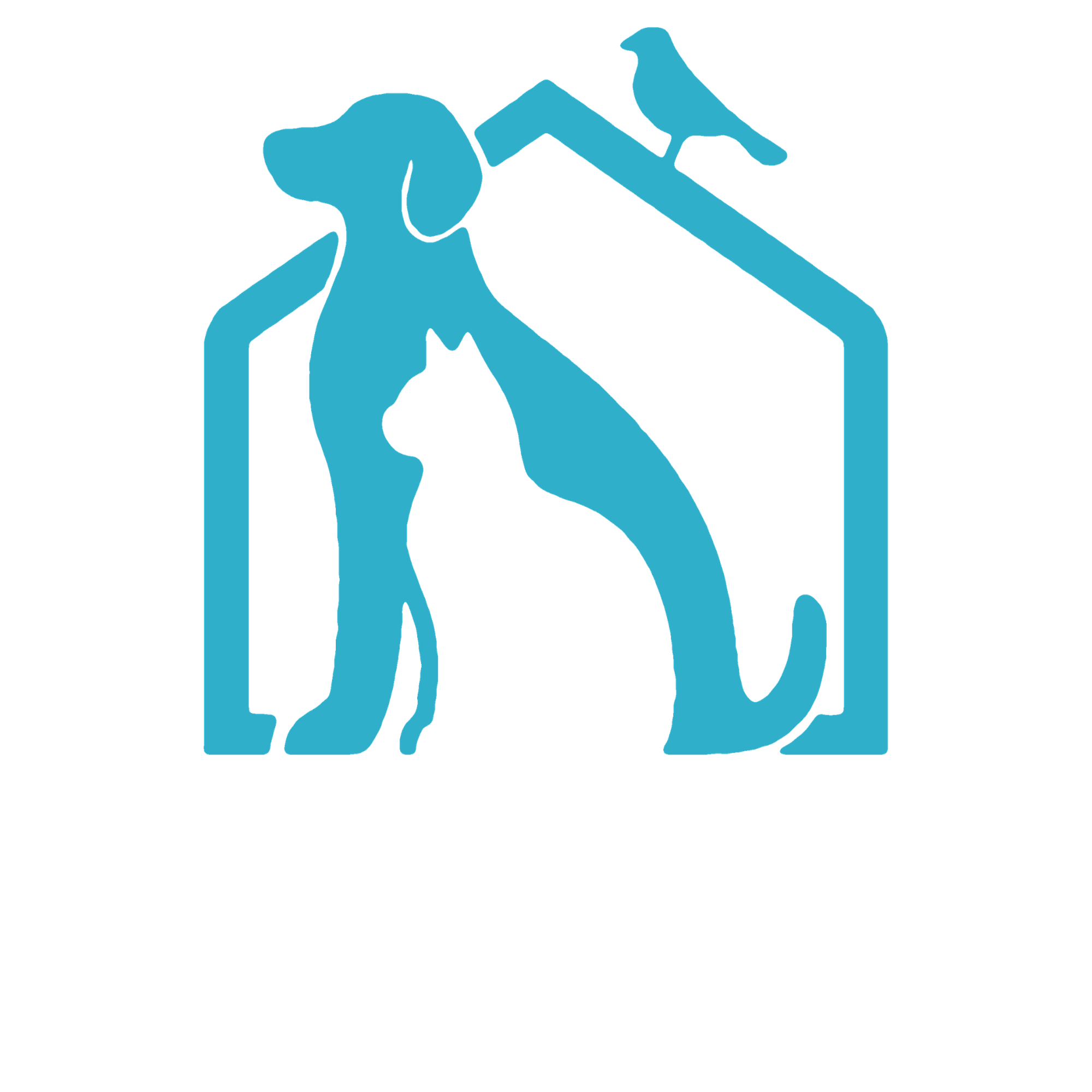 Pet Practice Solutions